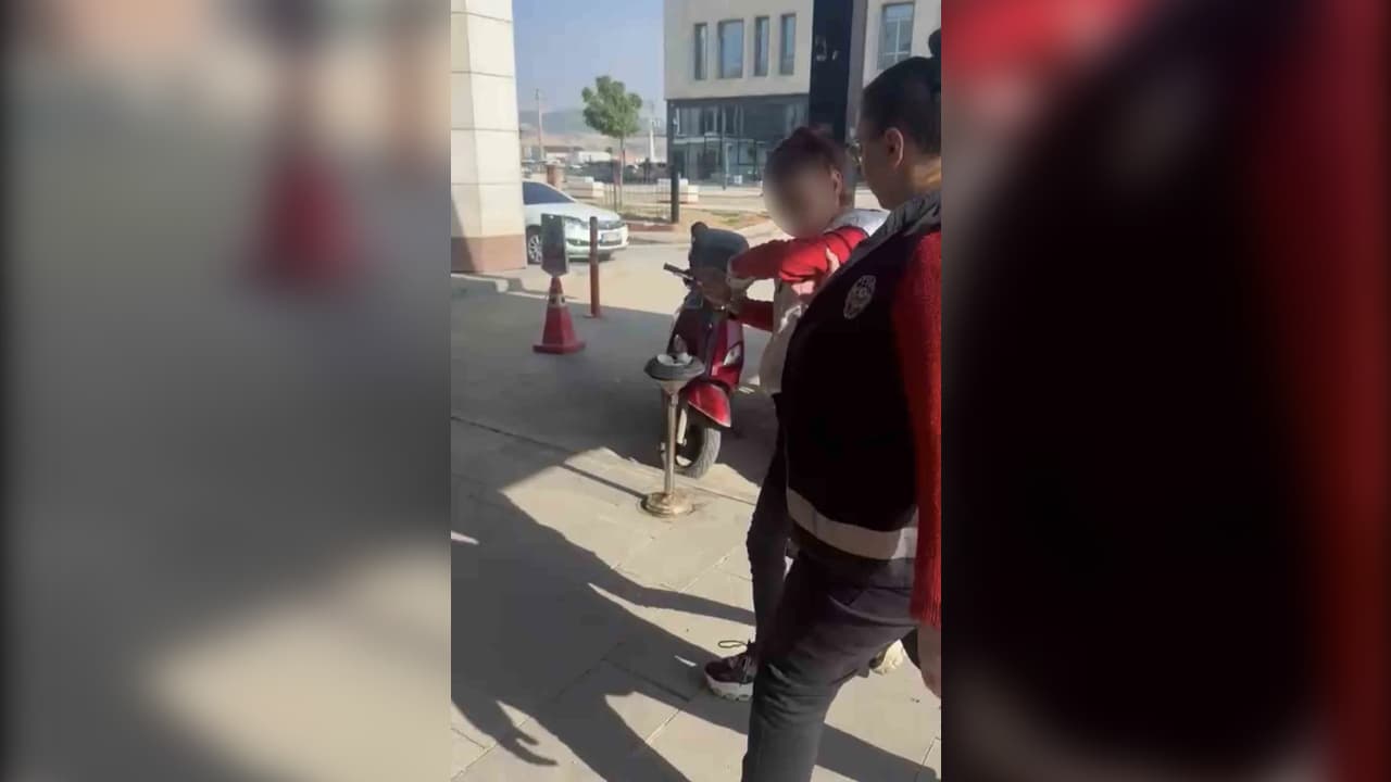 Kediye taşla vuran kadın yakalandı
