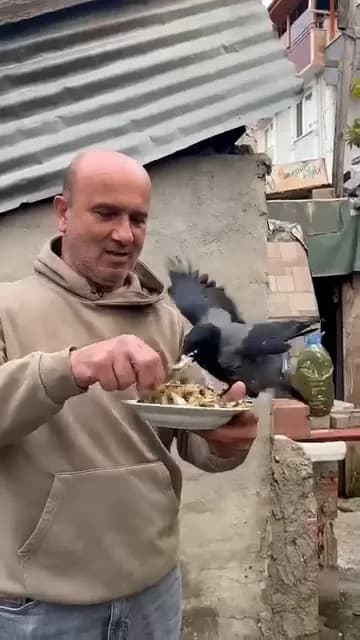 Kargasına elleriyle balık yedirdi