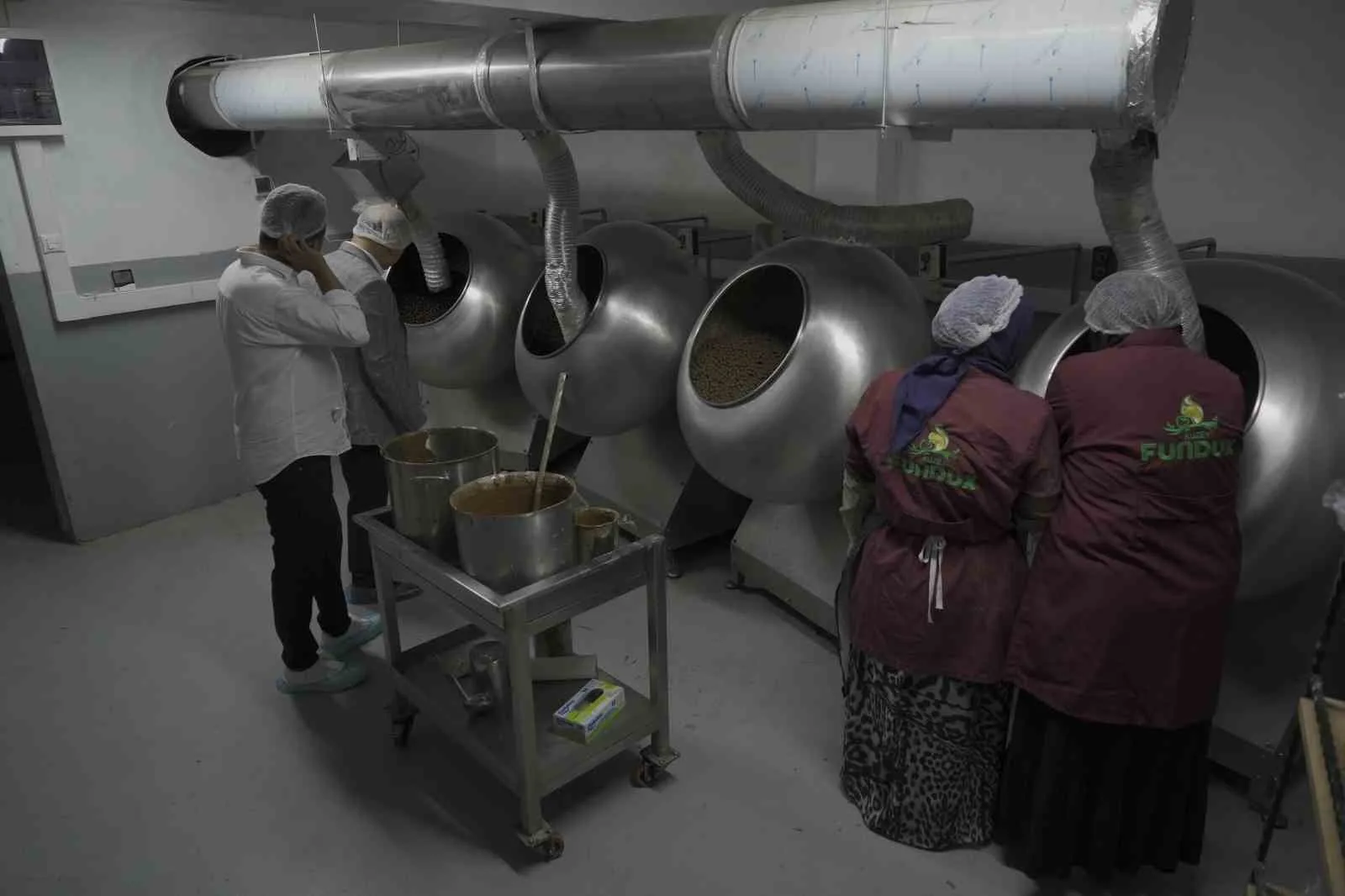 SAKARYA’NIN KARASU İLÇESİNE BAĞLI PARALI KÖYÜNDE FINDIK ÜRETİCİLERİ, ÜRÜNLERİNİ TÜCCARA SATMAK YERİNE KURDUKLARI KIRSAL KALKINMA KOOPERATİFİ İLE KATMA DEĞERLİ NİHAİ ÜRÜNE DÖNÜŞTÜRDÜ.