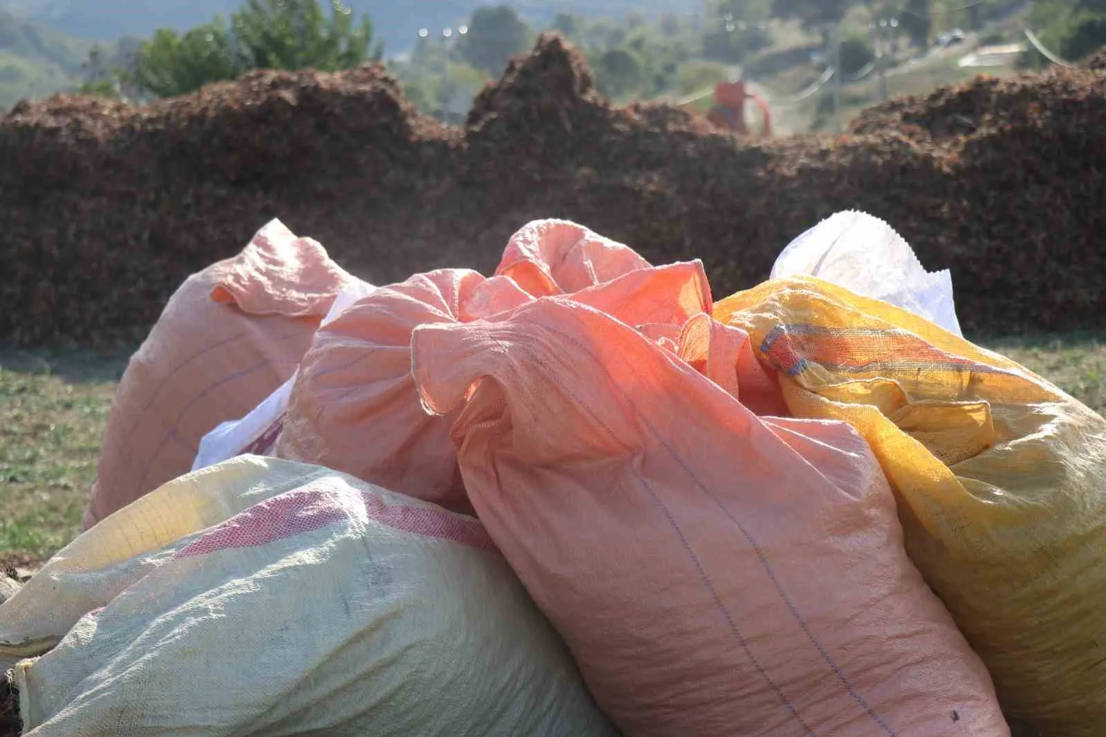 SAKARYA’NIN KARASU İLÇESİNE BAĞLI PARALI KÖYÜNDE FINDIK ÜRETİCİLERİ, ÜRÜNLERİNİ TÜCCARA SATMAK YERİNE KURDUKLARI KIRSAL KALKINMA KOOPERATİFİ İLE KATMA DEĞERLİ NİHAİ ÜRÜNE DÖNÜŞTÜRDÜ.