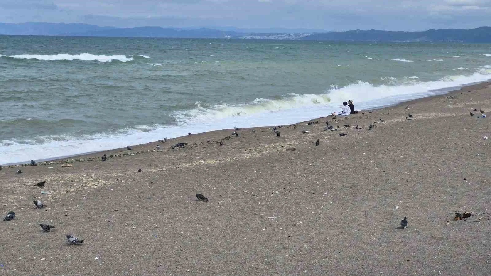 YAZ MEVSİMİNDE YOĞUNLUK YAŞANAN VE ADIM ATACAK YER KALMAYAN DÜZCE’NİN DENİZE AÇILAN KAPISI AKÇAKOCA SAHİLLERİ TATİLİN BİTİP OKULLARIN AÇILMASI VE HAVALARIN SOĞUMASIYLA BİRLİKTE YERİNE MARTI VE GÜVERCİNLERE BIRAKTI.
