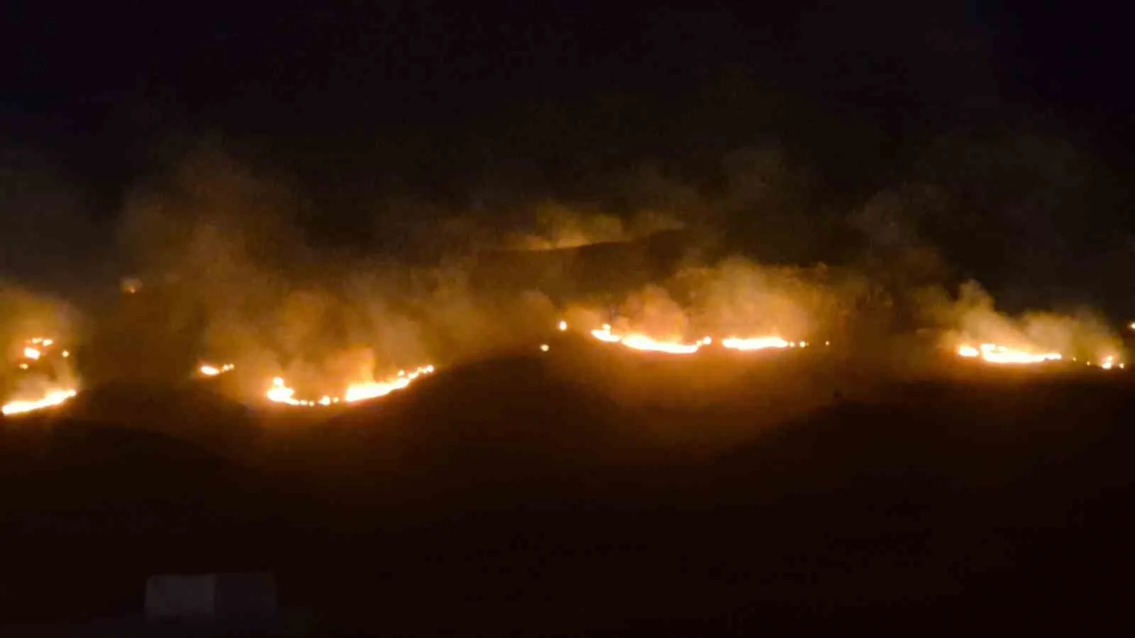MUĞLA'NIN BODRUM İLÇESİNDE GENİŞ BİR ALANDA ETKİLİ OLAN YANGIN, EKİPLERİN YOĞUN ÇABASI SONUCU KONTROL ALTINA ALINDI.